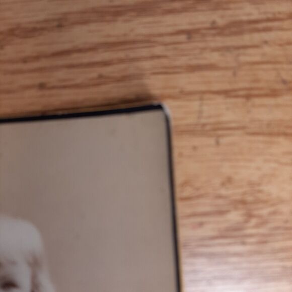 Cabinet Card Photo child Alice Fox Gerster NYC Union Square George G. Rockwood - Picture 7 of 9